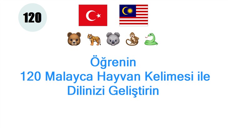 Öğrenin: 120 Malayca Hayvan Kelimesi ile Dilinizi Geliştirin